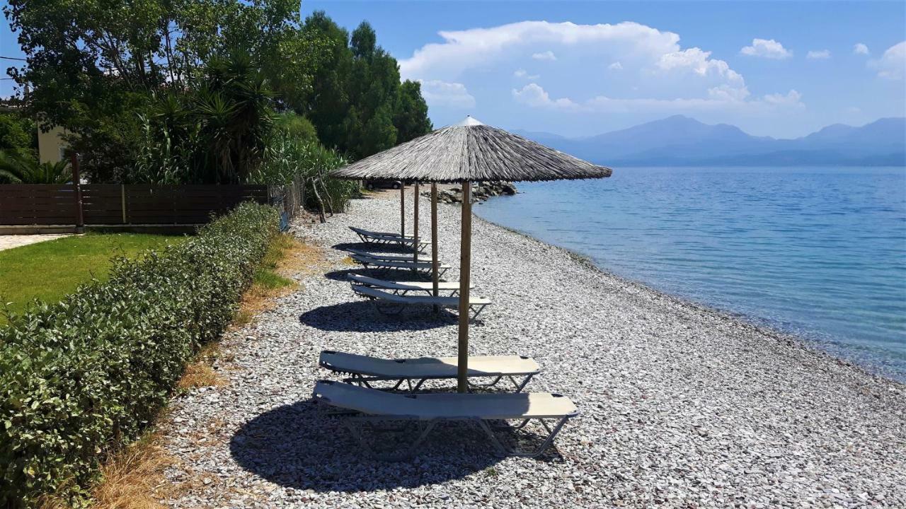 Villa Thalassa Paralia Sergoulas Eksteriør billede